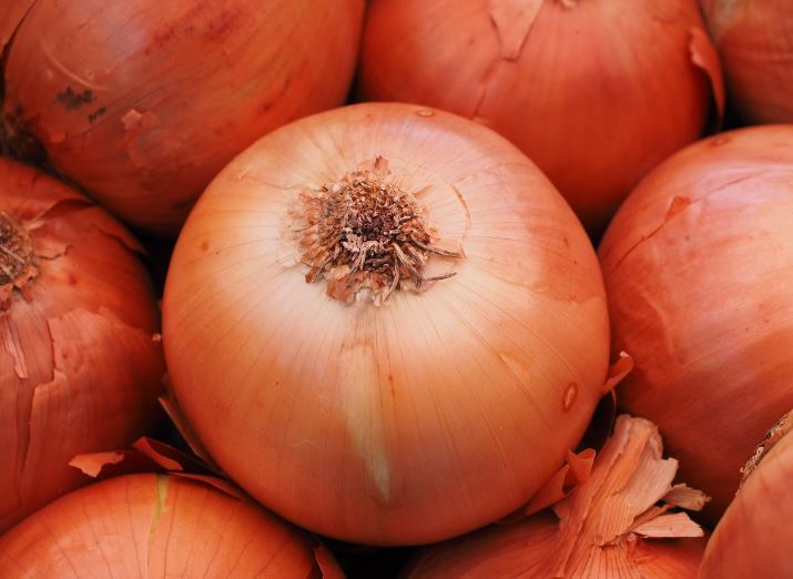 Dreaming about onions: 23 Main Meanings Explained