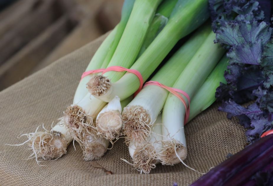 Dream about green onions: 32 Main Meanings Explained