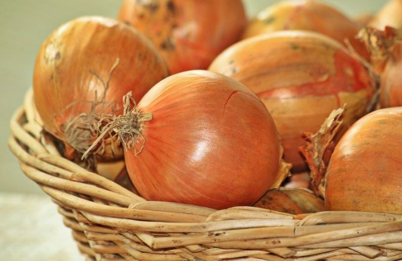 Dream about digging onions: 4 Main Meanings Explained