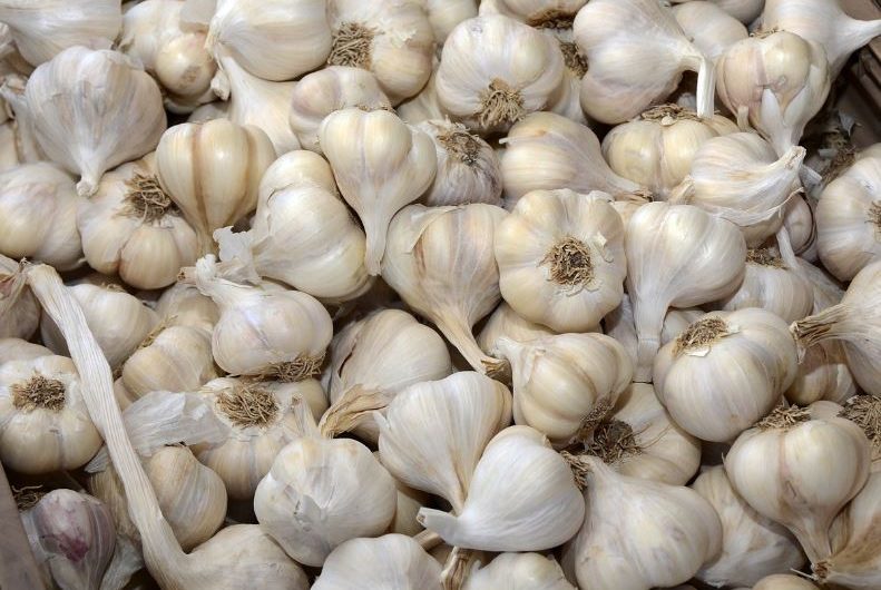 Dream about growing garlic: 12 Main Meanings Explained