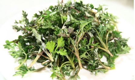 Dream about wormwood