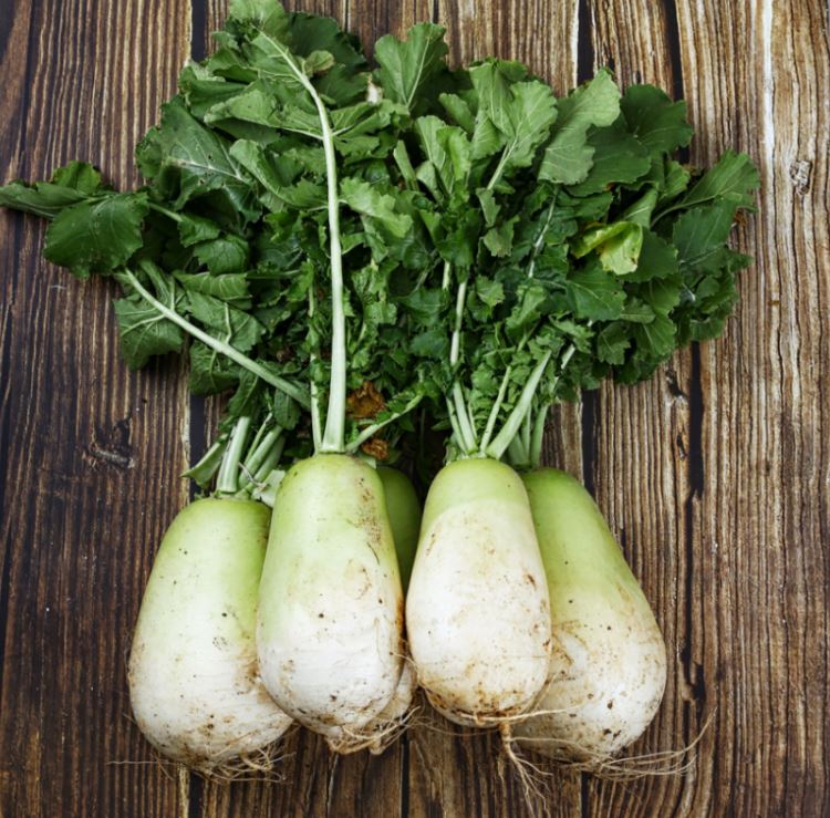 Dream about eating radishes