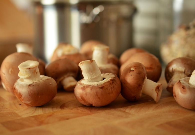 Dream about digging mushrooms: 8 main meanings explained