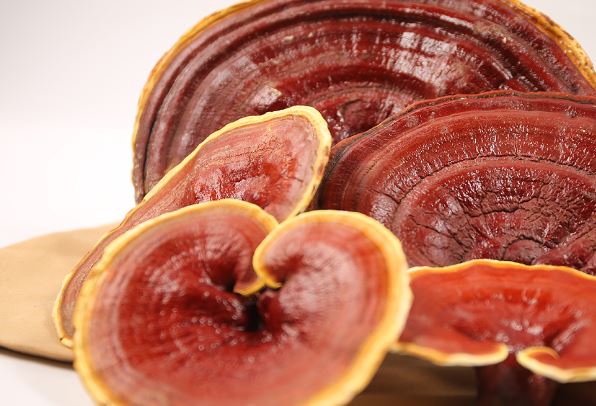 Dreaming of Reishi: 6 main meanings explained