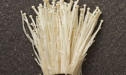 Dream about enoki mushrooms: 10 main meanings explained