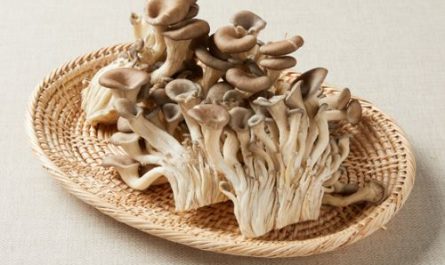 Dreaming of oyster mushrooms: 10 main meanings explained