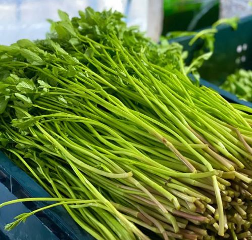 Dreaming of Buttercup: 22 main meanings explained