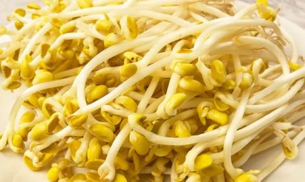 Dream about eating bean sprouts: 24 main meanings explained