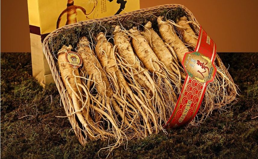 Dream about digging ginseng: 15 main meanings explained
