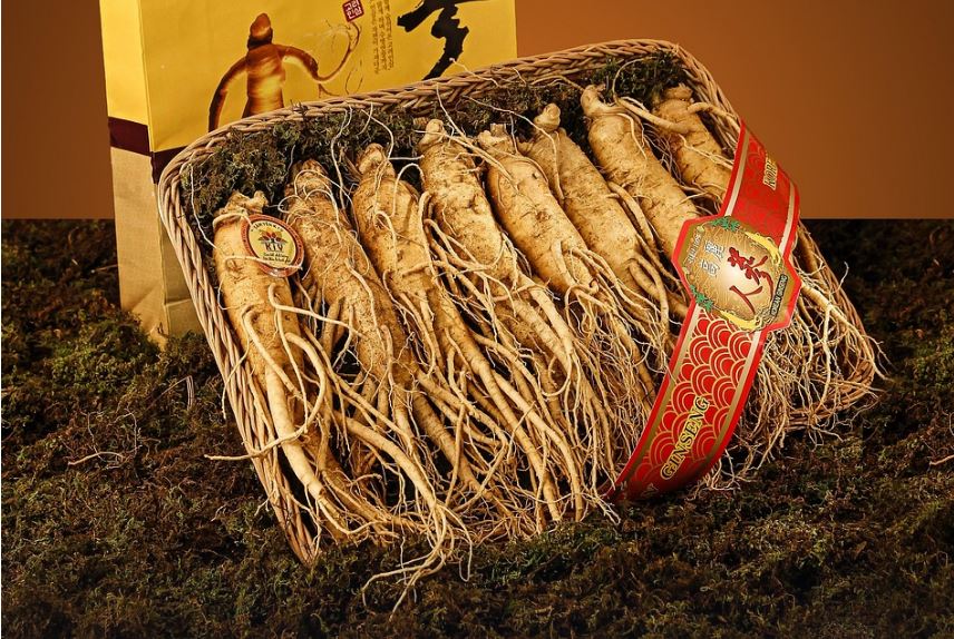 Dream about digging ginseng: 15 main meanings explained