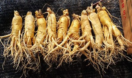Dream about digging ginseng deep in the mountains: 13 main meanings explained