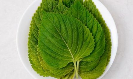 Dream about eating sesame leaves: 12 main meanings explained