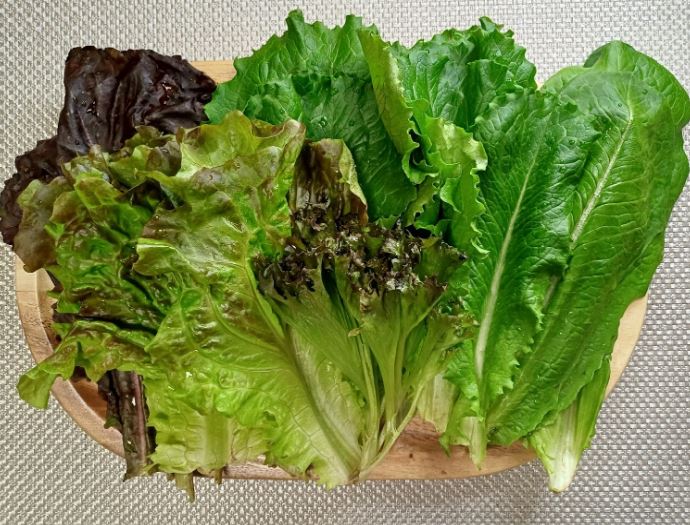 Dream about eating lettuce: 17 main meanings explained