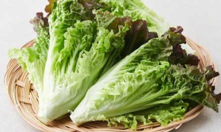 Dream about Picking lettuce: 13 main meanings explained