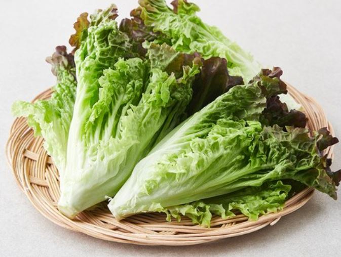 Dream about Picking lettuce: 13 main meanings explained