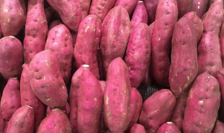 Dreaming about Digging sweet potatoes: 18 main meanings explained