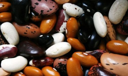 Dream about eating beans: 18 main meanings explained