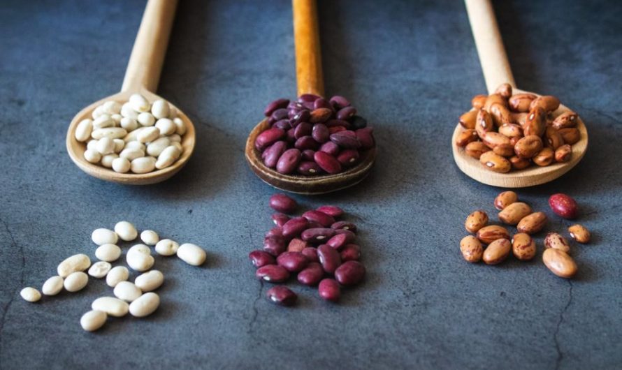 Dream about planting beans: 7 main meanings explained