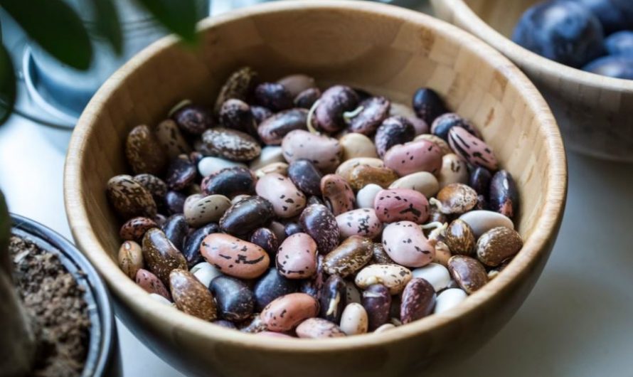 Dream of receiving beans: 7 main meanings explained