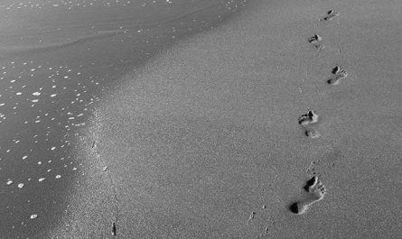 Dreaming of an ex: 35 different types and meanings