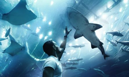 Dreaming of a zoo: 37 scenarios and their interpretations