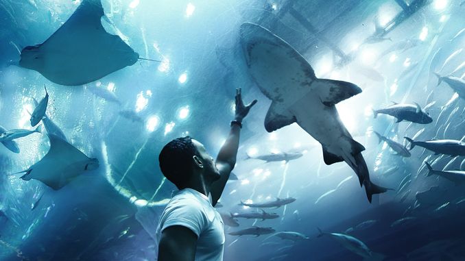 Dreaming of a zoo: 37 scenarios and their interpretations