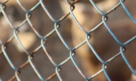 Dream about captivity: 7 Main Meanings Explained