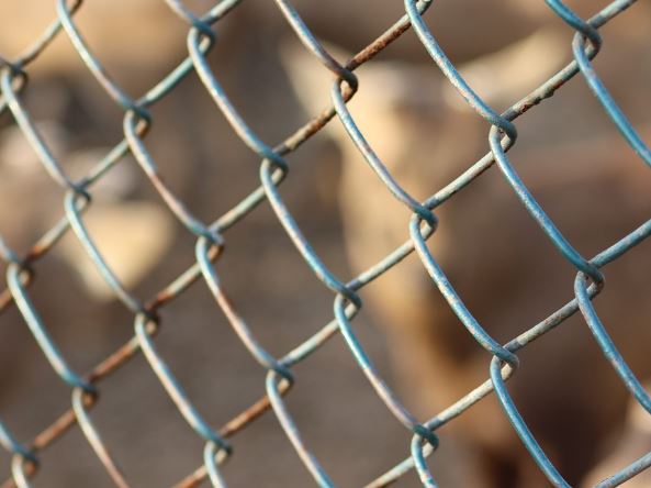 Dream about captivity: 7 Main Meanings Explained