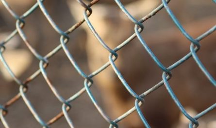 Dream about kidnapping: 7 Main Meanings Explained