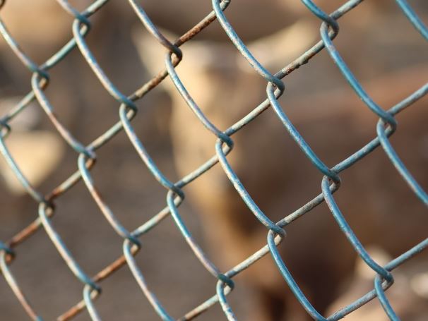 Dream about kidnapping: 7 Main Meanings Explained