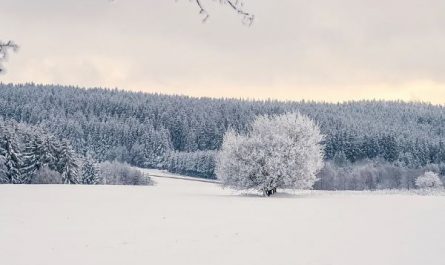 Dream about snow accumulation: 5 Main Meanings Explained