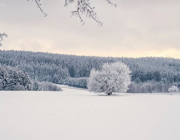 Dream about snow accumulation: 5 Main Meanings Explained