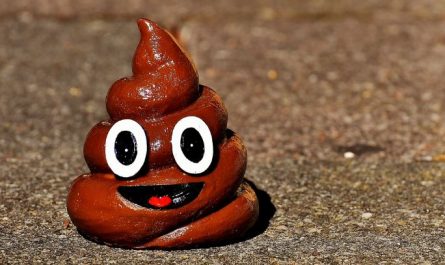 Dreaming of poop on your body: 5 Main Meanings Explained