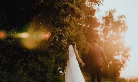 Dream about marrying a celebrity : 5 Main Meanings Explained