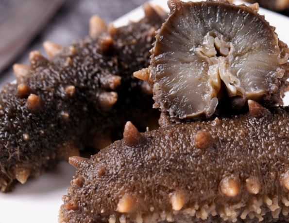 Dream about sea cucumber : 5 Main Meanings Explained