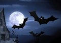 Dreaming of a bat : 5 Main Meanings Explained