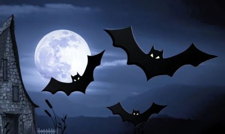 Dreaming of a bat : 5 Main Meanings Explained