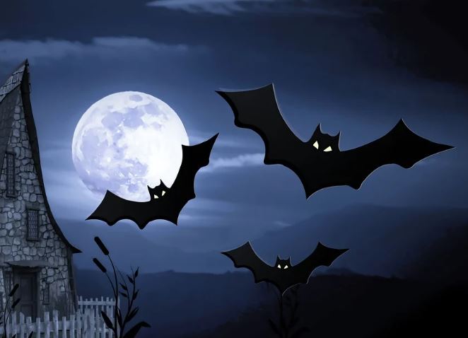 Dreaming of a bat : 5 Main Meanings Explained