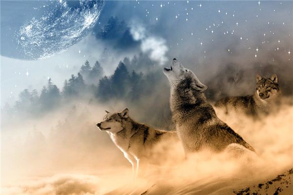 Wat symboliseert dromen over een roedel wolven?