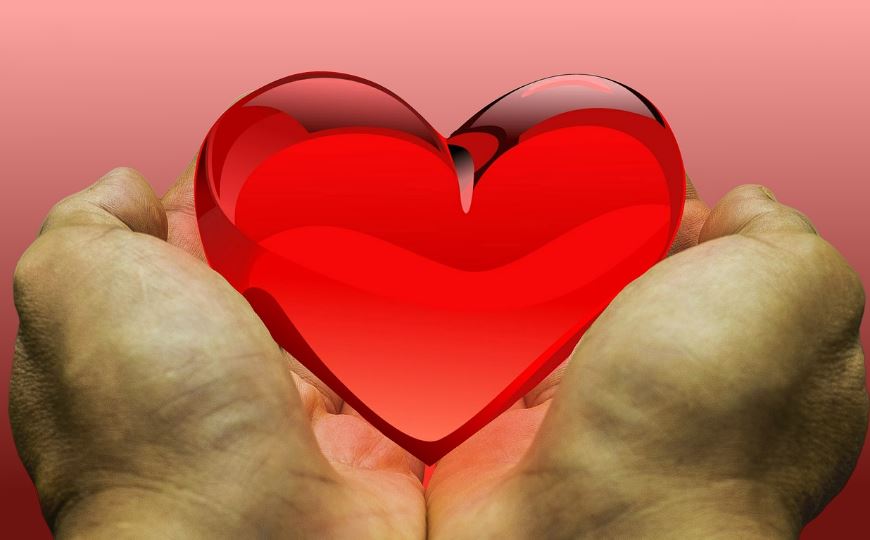 Dream about donating organs