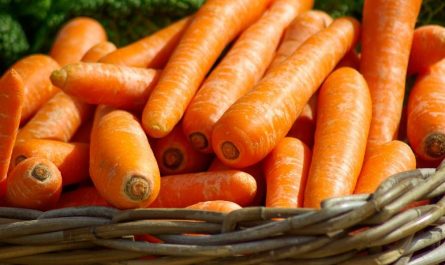 Dreaming of eating carrots