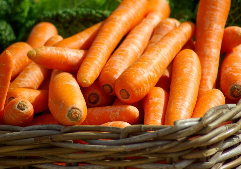 Dreaming of eating carrots