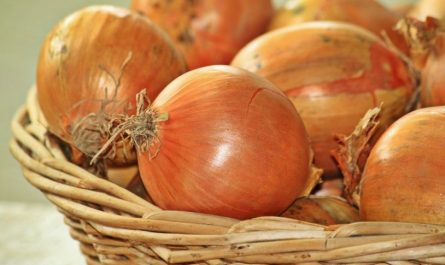 Dream about digging onions