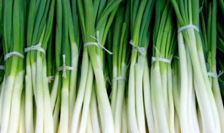 Dream about pulling green onions: 37 Main Meanings Explained