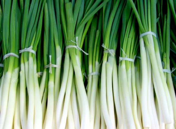 Dream about pulling green onions: 37 Main Meanings Explained
