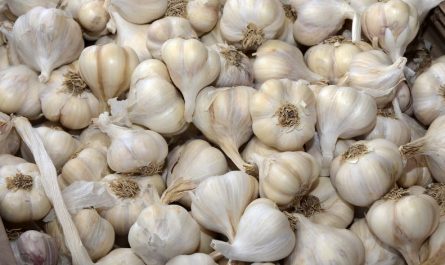 Dream about growing garlic