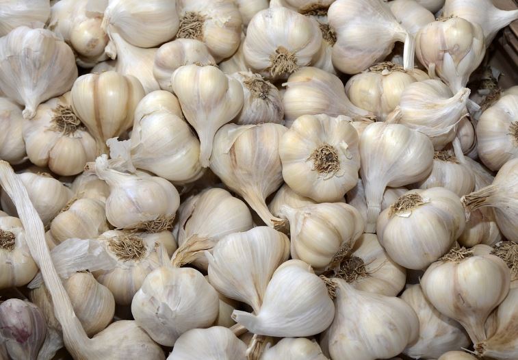 Dream about garlic: 37 Main Meanings Explained