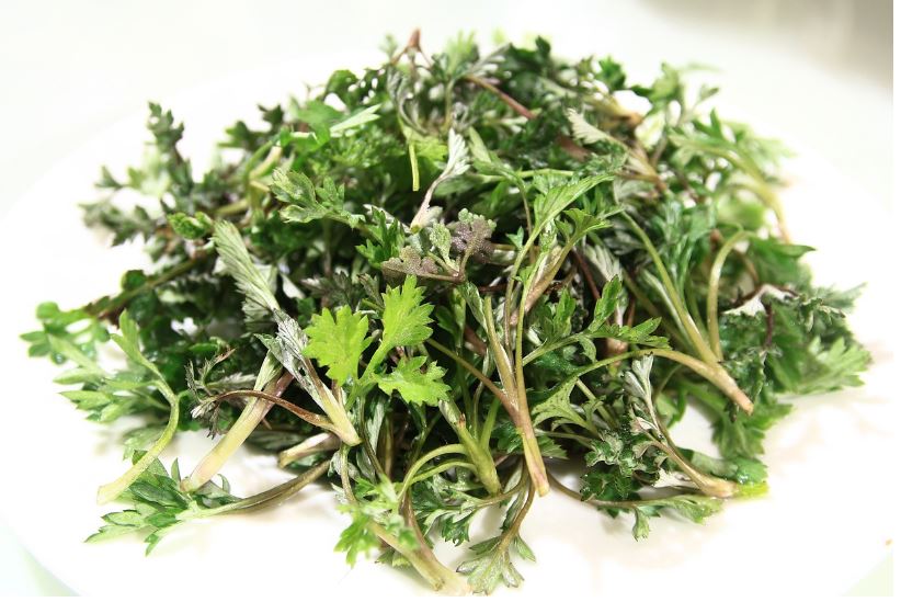 Dream about wormwood