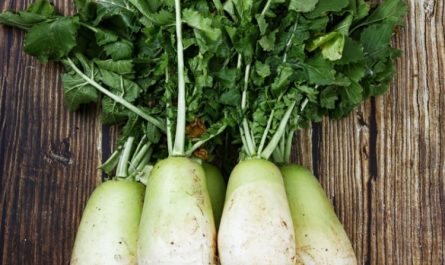 Dream about eating radishes