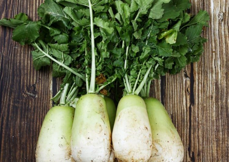 Dream about eating radishes: 18 Main Meanings Explained